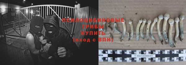 твердый Бородино
