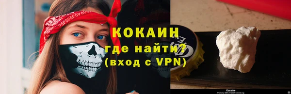 твердый Бородино