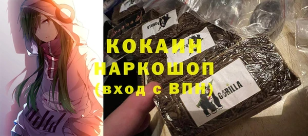 ешки Бронницы