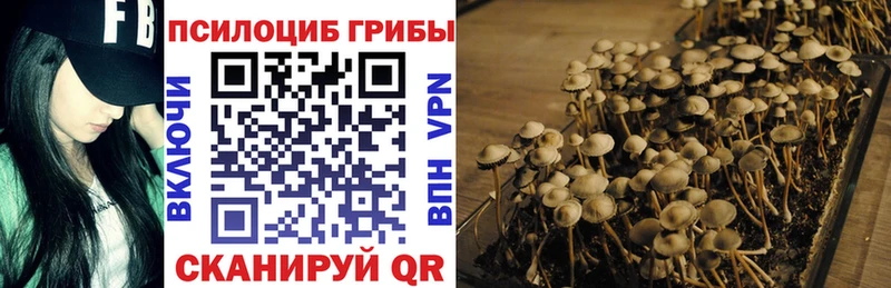 Купить  Воскресенск  Галлюциногенные грибы Cubensis 